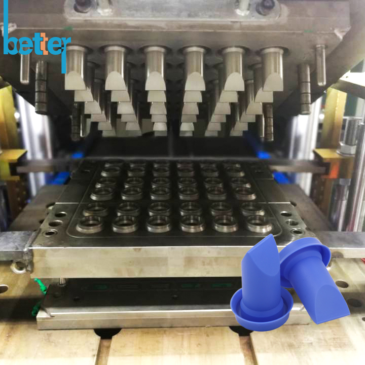 Valve Compression Mould