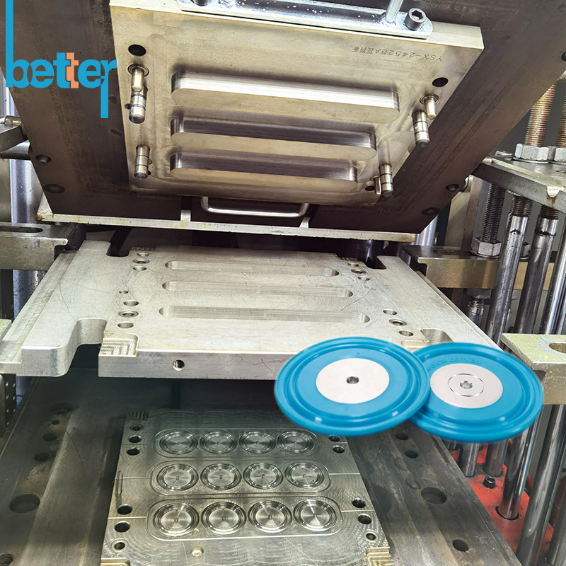 Valve Compression Mould