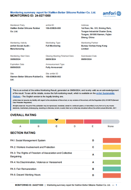 2024 BSCI Audit Report