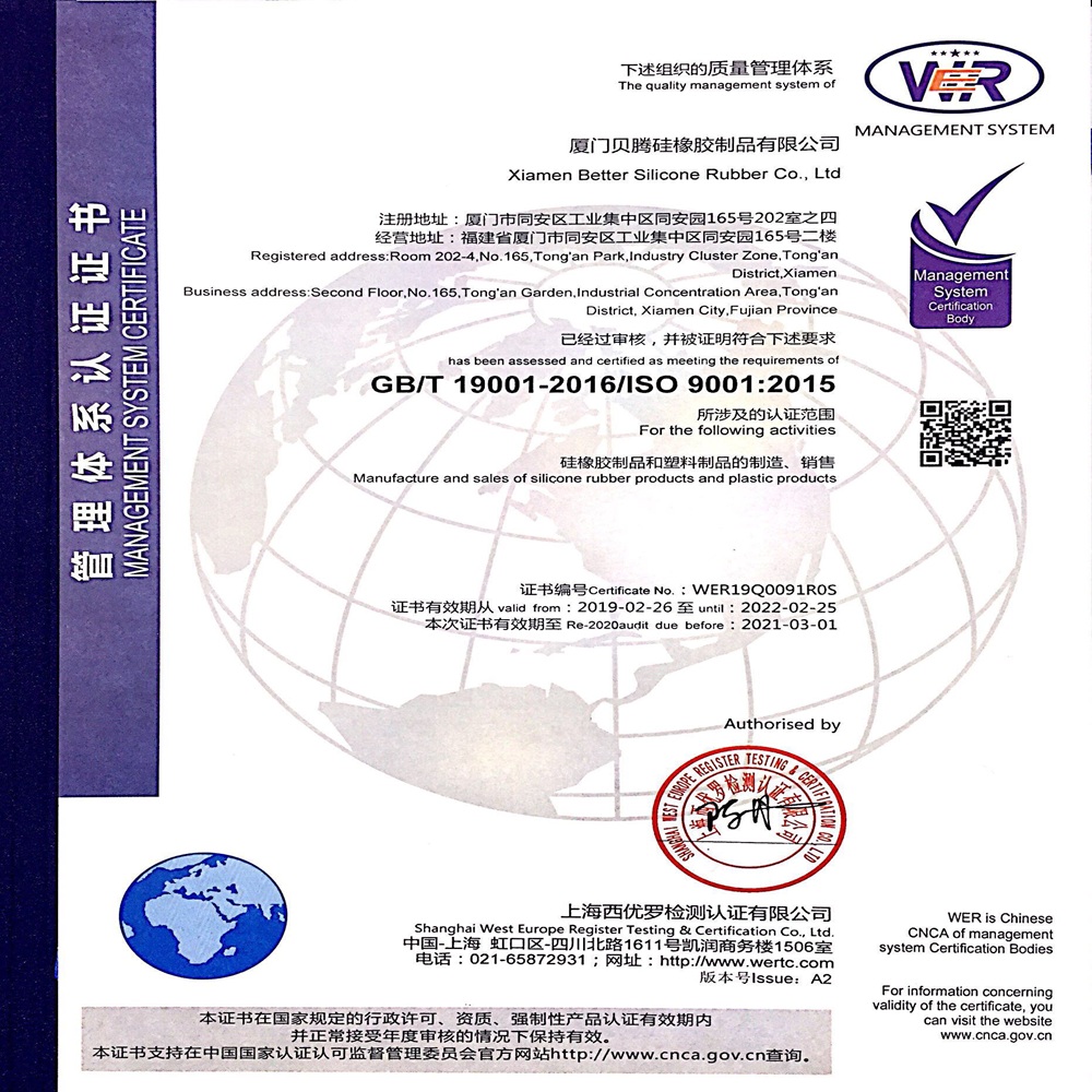 Injection Molding of Liquid Silicone Rubber